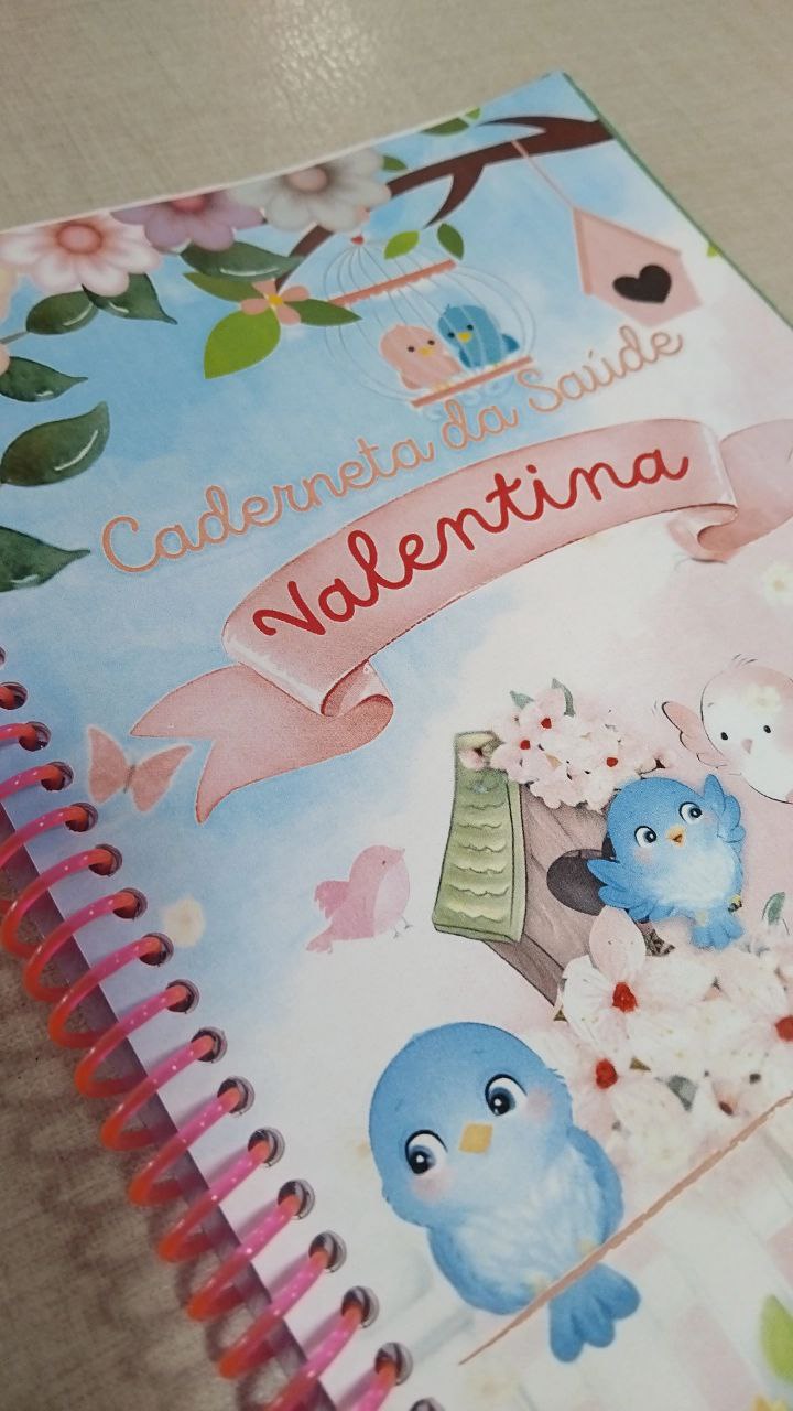 Caderneta de Vacinação - Image 4